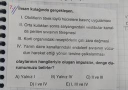 7://
insan kulağında gerçekleşen,
K
I. Otolitlerin titrek tüylü hücrelere basınç uygulaması
II. Orta kulaktan sonra salyangozdaki vestibular kanal-
da perilen sivisinin titreşmesi
III. Korti organındaki reseptörlerin çatı zara değmesi
IV. Yarım daire kanallarındaki endolenf sivisinin vücu-
dun hareket ettiği yönün tersine çalkalanması
olaylarının hangileriyle oluşan impulslar, denge du-
rumumuzu belirler?
B) Yalnız IV
C) II ve III
A) Yalnız!
D) I ve IV
E) I, III ve IV
