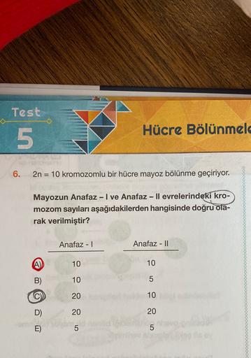 Test
Hücre Bölünmelo
5
6.
2n = 10 kromozomlu bir hücre mayoz bölünme geçiriyor.
-
Mayozun Anafaz - I ve Anafaz - Il evrelerindeki kro-
mozom sayıları aşağıdakilerden hangisinde doğru ola-
rak verilmiştir?
Anafaz - 1
Anafaz - 11
-
A)
10
10
B)
10
5
20
10
D)