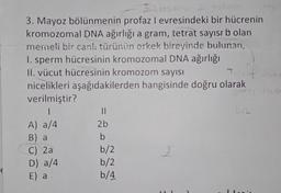 3. Mayoz bölünmenin profazlevresindeki bir hücrenin
kromozomal DNA ağırlığı a gram, tetrat sayısr bolan
memeli bir canlı türünün erkek bireyinde bulunan,
I. sperm hücresinin kromozomal DNA ağırlığı
11. vücut hücresinin kromozom sayısı
+
nicelikleri aşağıdakilerden hangisinde doğru olarak
verilmiştir?
|
II
6/2
A) a/4
2b
B) a
b
C) 2a
b/2
2
D) a/4
b/2
E) a
b/4
=
€
