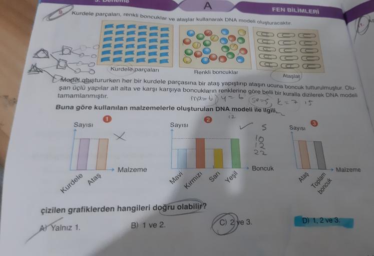 A
FEN BİLİMLERİ
Kurdele parçaları, renkli boncuklar ve ataşlar kullanarak DNA modeli oluşturacaktır.
Kurdele parçaları
Renkli boncuklar
Ataşlat
hegel oluştururken her bir kurdele parçasına bir ataş yapıştırıp ataşın ucuna boncuk tutturulmuştur. Olu-
şan üç