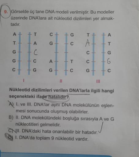 9. Görselde üç tane DNA modeli verilmiştir. Bu modeller
üzerinde DNA'lara ait nükleotid dizilimleri yer almak-
tadır.
A
T
C
|
G
T
-A
T.
A
G
C
A.
T
G
C
C-
G
G
C
A-
T
C
G
of
of
G
G
C.
G
C
II
Nükleotid dizilimleri verilen DNA'larla ilgili hangi
seçenekteki if