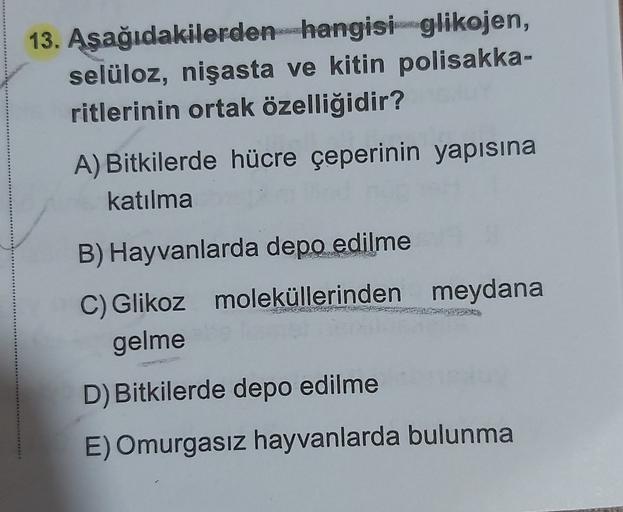 13. Aşağıdakilerden hangisi glikojen,
selüloz, nişasta ve kitin polisakka-
ritlerinin ortak özelliğidir?
A) Bitkilerde hücre çeperinin yapısına
katılma
B) Hayvanlarda depo edilme
C) Glikoz moleküllerinden meydana
gelme
D) Bitkilerde depo edilme
E) Omurgası