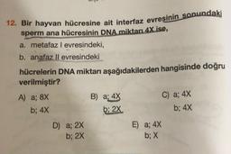 12. Bir hayvan hücresine ait interfaz evresinin sonundaki
sperm ana hücresinin DNA miktarı 4X ise,
a. metafaz levresindeki,
b. anafaz ll evresindeki
hücrelerin DNA miktarı aşağıdakilerden hangisinde doğru
verilmiştir?
A) a; 8X
B) a; 4X
C) a; 4x
b; 4x
b; 2X
b; 4X
D) a; 2x
E) a; 4x
b; 2x
b; X