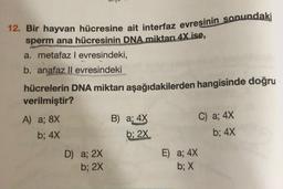 12. Bir hayvan hücresine ait interfaz evresinin sonundaki
sperm ana hücresinin DNA miktarı 4X ise,
a. metafaz levresindeki,
b. anafaz ll evresindeki
hücrelerin DNA miktarı aşağıdakilerden hangisinde doğru
verilmiştir?
A) a; 8X
B) a; 4X
C) a; 4x
b; 4x
b; 2X
b; 4X
D) a; 2x
E) a; 4x
b; 2x
b; X
