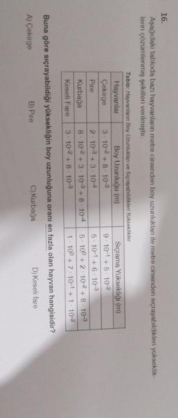 16.
Aşağıdaki tabloda bazı hayvanlann metre cinsinden boy uzunlukları ile metre cinsinden sicrayabildikleri yükseklik-
lerin çözümlenmiş şekilleri verilmiştir.
Tablo: Hayvanların Boy Uzunluklan ve Sıçrayabildikleri Yükseklikler
Hayvanlar
Boy Uzunluğu (m)
Sıçrama Yüksekliği (m)
Çekirge 3.102 +8 103
g. 10-1 +5.102
Pire
2 103 +3 104
5. 10-1 + 610-3
Kurbağa 8 102 3.103 +8. 104 5. 100+ 2.102 +8 103
Keseli Fare 3. 10-2 + 8 - 10-3
1.100+ 7.10-1+1 102
Buna göre sıçrayabildiği yüksekliğin boy uzunluğuna oranı en fazla olan hayvan hangisidir?
C) Kurbağa
D) Keseli fare
A) Cekirge
B) Pire
