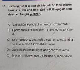 18. Karaciğerinden alınan bir hücrede 30 tane otozom
bulunan erkek bir memeli türü ile ilgili aşağıdaki ifa-
delerden hangisi yanlıştır?
A) Gamet hücrelerinde birer tane gonozom vardır.
B) Sperm hücrelerinde toplam 15 tane kromozom var-
dır.
C) Spermatogenez sirasında oluşan bir tetratta iki ta-
ne X ile iki tane Y kromatidi bulunur.
D) Vücut hücrelerinde ikişer tane gonozom vardır.
E) Eşey ana hücrelerinde de 30 tane otozom vardır.