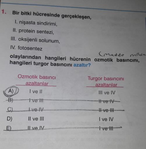 1. Bir bitki hücresinde gerçekleşen,
I. nişasta sindirimi,
II. protein sentezi,
III. oksijenli solunum,
IV. fotosentez
(madde mikro
olaylarından hangileri hücrenin ozmotik basıncını,
hangileri turgor basıncını azaltır?
Ozmotik basıncı
azaltanlar
Turgor bas