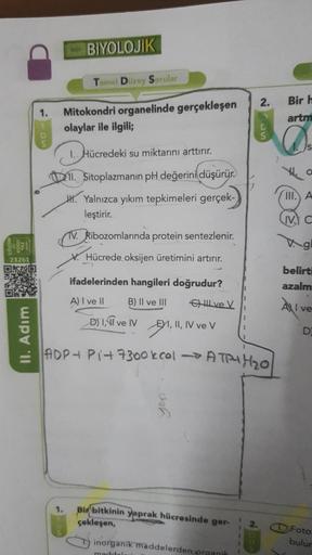 BİYOLOJİK
Temel Dizy Sorular
2.
Bir h
1.
Mitokondri
organelinde gerçekleşen
olaylar ile ilgili;
artm
IS
1. Hücredeki su miktarını arttırır.
O
. Sitoplazmanın pH değerini düşürür.
1. Yalnızca yıkım tepkimeleri gerçek-
leştirir.
III. A
LVC
TV. Ribozomlarında