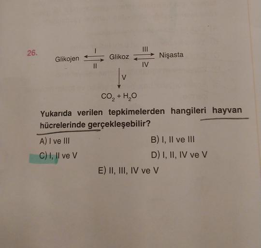 III
26.
Glikojen
Glikoz
Nişasta
IV
CO, + H2O
Yukarıda verilen tepkimelerden hangileri hayvan
hücrelerinde gerçekleşebilir?
A) I ve III
B) I, II ve III
C) I, II ve V
D) I, II, IV ve v
E) II, III, IV ve v