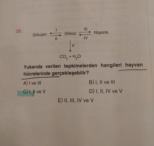 III
26.
Glikojen
Glikoz
Nişasta
IV
CO, + H2O
Yukarıda verilen tepkimelerden hangileri hayvan
hücrelerinde gerçekleşebilir?
A) I ve III
B) I, II ve III
C) I, II ve V
D) I, II, IV ve v
E) II, III, IV ve v
