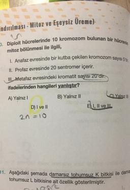 indırılması - Mitoz ve Eşeysiz Üreme)
D. Diploit hücrelerinde 10 kromozom bulunan bir hücrenin
mitoz bölünmesi ile ilgili,
I. Anafaz evresinde bir kutba çekilen kromozom sayısı 5'tir.
II. Profaz evresinde 20 sentromer içerir.
III. Metafaz evresindeki kromatit sayısı 20'dir.
ifadelerinden hangileri yanlıştır?
A) Yalnız !
B) Yalnız II
Loly
Yalnız III
D) I ve II
El, ll ve IIL
2n =10
11. Aşağıdaki şemada damarsız tohumsuz K bitkisi ile dama
tohumsuz L bitkisine ait özellik gösterilmiştir
.
