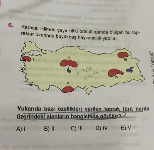 how can nobranited
6.
Karasal iklimde çayır bitki örtüsü altında oluşan bu top-
raklar üzerinde büyükbaş hayvancılık yapılır.
Ini
Toprak"
Connollision
front
01".
TV
V
syu üzerindeki alanların hangisinde görülür.22 TOT
Yukarıda bazı özellikleri verilen topr