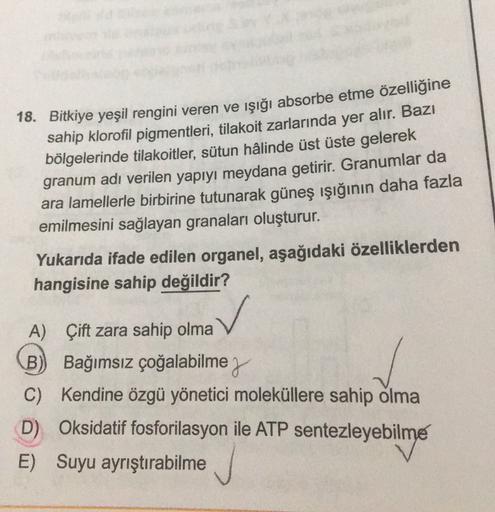 18. Bitkiye yeşil rengini veren ve ışığı absorbe etme özelliğine
sahip klorofil pigmentleri, tilakoit zarlarında yer alır. Bazı
bölgelerinde tilakoitler, sütun hâlinde üst üste gelerek
granum adı verilen yapıyı meydana getirir. Granumlar da
ara lamellerle 