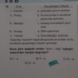 B B D
18.
Evre
Gerçekleşen Olaylar
a. Çekirdek zarının erimesi
I. Interfaz
II. Profaz
b. Kromozomların ekvatoral
düzlemde dizilmesi
c. Kardeş kromatitlerin ayrıl-
III. Metafaz
masi
IV. Anafaz
d. DNA eşlenmesi
V. Telofaz
e. Çekirdekçiğin oluşması
Yukarıda, hücrenin hayat döngüsüne ait evreler ve bu
evrelerde gerçekleşen olaylar verilmiştir.
-
Buna göre aşağıda verilen "evre - olay" eşleştir-
melerinden hangisi doğrudur?
A) I-e
B) II-a
C) III-d
D) IV - b
E) V-C