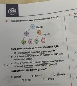 eis
Yayınları
9.
Aşa
biri
6. Aşağıdaki şekilde mayoz bölünme şematize edilmiştir.
Mayozi
B
Mayoz II
E
F
Buna göre, harflerle gösterilen hücrelerle ilgili,
1. B ve C hücrelerinin genetik yapıları aynıdır.
II. A hücresinin DNA miktarı, G hücresinin DNA mik-
tarinin dört katıdır.
III. D ve E hücrelerinin genetik yapılarının aynı olması
krossing-overin gerçekleşmedigini gösterir.
ifadelerinden hangileri doğrudur?
A) Yalnız!
D) II ve III
B) Yalnız II
C) Yalnız III
E) I, II ve III