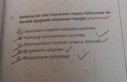 3.
Gelişmiş bir bitki hücresinin mayoz bölünmesi sü-
recinde aşağıdaki olaylardan hangisi gözlenmez?
A) Sentriollerin karşılıklı kutuplara çekilmesi
B) Homolog kromozomların ayrılması
CL Kromozomların hücrenin ortasına dizilmesi
Diğ ipliklerinin oluşması
E) Sitoplazmanın bölünmesi
✓
