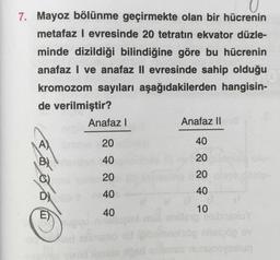 7. Mayoz bölünme geçirmekte olan bir hücrenin
metafaz l evresinde 20 tetratın ekvator düzle-
minde dizildiği bilindiğine göre bu hücrenin
anafaz | ve anafaz ll evresinde sahip olduğu
kromozom sayıları aşağıdakilerden hangisin-
de verilmiştir?
Anafaz |
Anafaz Il
20
40
40
20
20
20
bából
40
40
40
10
11