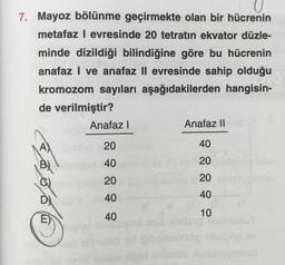 7. Mayoz bölünme geçirmekte olan bir hücrenin
metafaz l evresinde 20 tetratın ekvator düzle-
minde dizildiği bilindiğine göre bu hücrenin
anafaz | ve anafaz ll evresinde sahip olduğu
kromozom sayıları aşağıdakilerden hangisin-
de verilmiştir?
Anafaz |
Anafaz Il
20
40
40
20
20
20
bából
40
40
40
10
11
