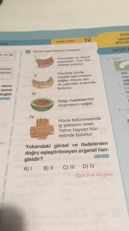 12
Ünite
HÜCF
BÖLÜN
KONU TESTI
Hücre organellerinin hikayesi:
SPOT
eri mi de
5
Koful
Hücredeki en küçük
organeldir. Tüm hüc-
relerde bulunur.
sentez
oplast
Hücrede içinde
madde taşınmasını
sağlar. Hücre zarı
ile çekirdek arasında
bulunur.
Atik
suyu
sağ
Bitl
bü
ha
Soru-
yaniti
angisi
72.1.1
k
Salgi maddelerinin
oluşmasını sağlar.
6. Li.
IV
SADIK UYGUN YAYINLARI SADIK UYGUN YAYINLARI SADIK UYGUN YAYINLARI SADIK UYGUN WARI
Hücre bölünmesinde
iğ ipliklerini üretir.
Yalnız hayvan hüc-
resinde bulunur.
re)
Yukarıdaki görsel ve ifadelerden
doğru eşleştirilmeyen organel han-
gisidir?
F.7.2.1.1
A) B) II C) III D) IV
(Spot 3 ve 4'e göre)