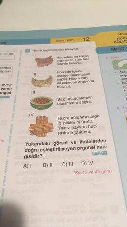 12
Ünite
HÜCF
BÖLÜN
KONU TESTI
Hücre organellerinin hikayesi:
SPOT
eri mi de
5
Koful
Hücredeki en küçük
organeldir. Tüm hüc-
relerde bulunur.
sentez
oplast
Hücrede içinde
madde taşınmasını
sağlar. Hücre zarı
ile çekirdek arasında
bulunur.
Atik
suyu
sağ
Bitl
bü
ha
Soru-
yaniti
angisi
72.1.1
k
Salgi maddelerinin
oluşmasını sağlar.
6. Li.
IV
SADIK UYGUN YAYINLARI SADIK UYGUN YAYINLARI SADIK UYGUN YAYINLARI SADIK UYGUN WARI
Hücre bölünmesinde
iğ ipliklerini üretir.
Yalnız hayvan hüc-
resinde bulunur.
re)
Yukarıdaki görsel ve ifadelerden
doğru eşleştirilmeyen organel han-
gisidir?
F.7.2.1.1
A) B) II C) III D) IV
(Spot 3 ve 4'e göre)
