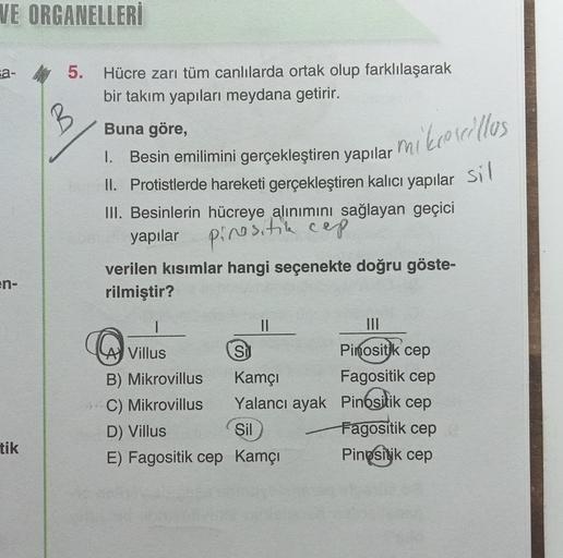 VE ORGANELLERİ
sa-
B
5. Hücre zarı tüm canlılarda ortak olup farklılaşarak
bir takım yapıları meydana getirir.
Buna göre,
1. Besin emilimini gerçekleştiren yapılar mikrocillos
II. Protistlerde hareketi gerçekleştiren kalıcı yapılar sil
III. Besinlerin hücr