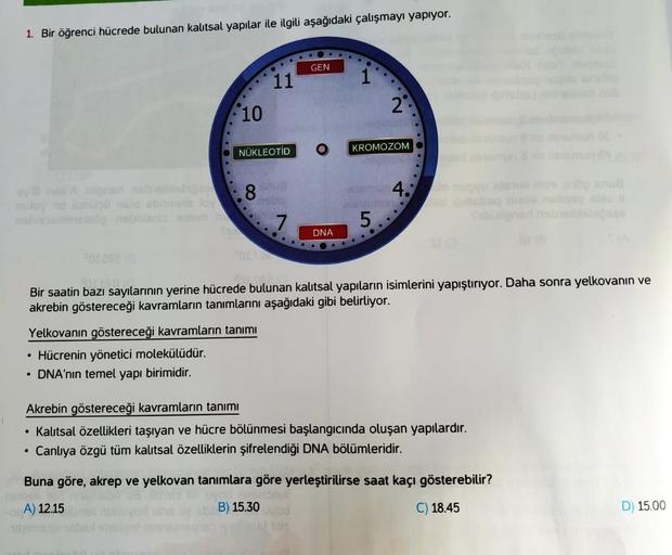 1. Bir öğrenci hücrede bulunan kautsal yapılar ile ilgili aşağıdaki çalışmayı yapıyor.
GEN
11
1
10
2.
NÜKLEOTID
KROMOZOM
8
4.:
loob
.
7
5.
DNA
Bir saatin bazı sayılarının yerine hücrede bulunan kalıtsal yapıların isimlerini yapıştırıyor. Daha sonra yelkova