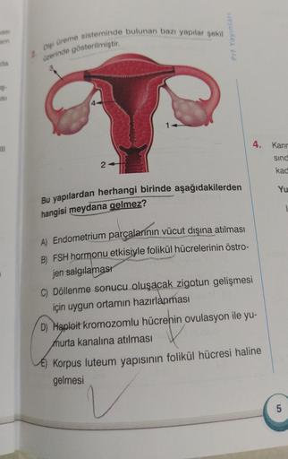 Dişi üreme sisteminde bulunan bazı yapılar şekil
Prt Yayinlari
2
üzerinde gösterilmiştir.
de
5-
151
4. Karir
III
sind
2
kad
Yu
Bu yapılardan herhangi birinde aşağıdakilerden
1
hangisi meydana gelmez?
A) Endometrium parçalarının vücut dışına atılması
B) FSH