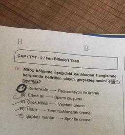 B
B
ÇAP / TYT - 2 / Fen Bilimleri Testi
18. Mitoz bölünme aşağıdaki canlılardan hangisinde
karşısında belirtilen olayın gerçekleşmesini sağ-
layamaz?
Kertenkele
Rejenerasyon ile üreme
B) Erkek ari Sperm oluşumu
e) Çilek bitkisi Vejetatif üreme
BT Hidra
Tomurcuklanarak üreme
E) Şapkali mantar Spor ile üreme
