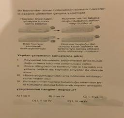 Bir hayvandan alınan bölünebilen somatik hücreler-
le aşağıda gösterilen çalışma yapılmıştır.
Hücreler önce kabin
yüzeyine tutunur
sonra bölünür.
Hücreler tek bir tabaka
oluşturduğunda bölün-
meyi durdurur
Bazı hücreler
Hücreler boşluğu dal-
kazınarak
durana kadar bölünür ve
uzaklaştırılmıştır.
birbirleriyle temas ettikleri
anda bölünmeyi durdurur
Yapılan çalışmanın sonuçlarına göre;
1. Hayvansal hücrelerde, bölünmeden önce bulun-
duğu ortama tutunma zorunluluğu vardır.
II. Hücre döngüsünün kontrolünde iç kaynaklı sin-
yallerle birlikte dış kaynaklı sinyaller de dikkate
alınır.
Hücre yoğunluğundaki artış bölünme inhibisyo-
nuna neden olur.
IV. Bir insanın her hücresi bulunduğu ortamdan be-
si kültürüne alınırsa bölünerek sayısını artırabilir.
yargılarından hangileri doğrudur?
A) I ve 11
C) I, II ve III
B) Il ve IV
D) I, II ve IV
E) I, III ve IV