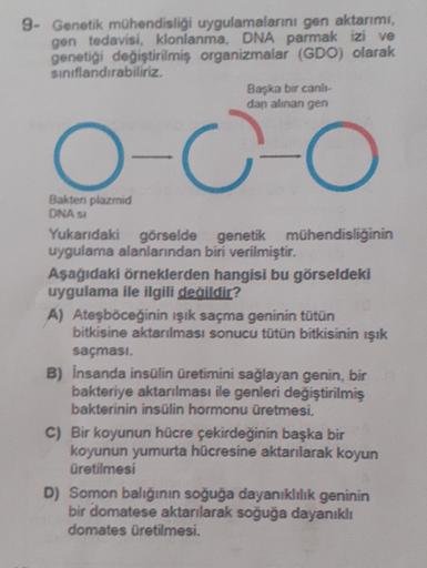 9- Genetik mühendisliği uygulamalarını gen aktarımı,
gen tedavisi, klonlanma, DNA parmak izi ve
genetiği değiştirilmiş organizmalar (GDO) olarak
siniflandırabiliriz.
Başka bir canh-
dan alınan gen
O
-C-o
Bakteri plazmid
DNA 54
Yukarıdaki görselde genetik m