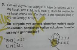 5. Sesleri duymamızı sağlayan kulağın üç bölümü var()
dış kulak, orta kulak ve iç kulak () Dış kulak sesi toplar
ve kulak zarına iletir. Zar titreşir () orta kulaktaki çekiç ()
Örs ve üzengiyi titreştirir.
Leone
Bu parçada yay ayraçla gösterilen yerlere aşağı-
dakilerden hangisinde verilen noktalama işaretleri
sırasıyla getirilmelidir?
AT (...) (.) (
C) 0) (0 (
B) () () ()
Dy :) (.))
