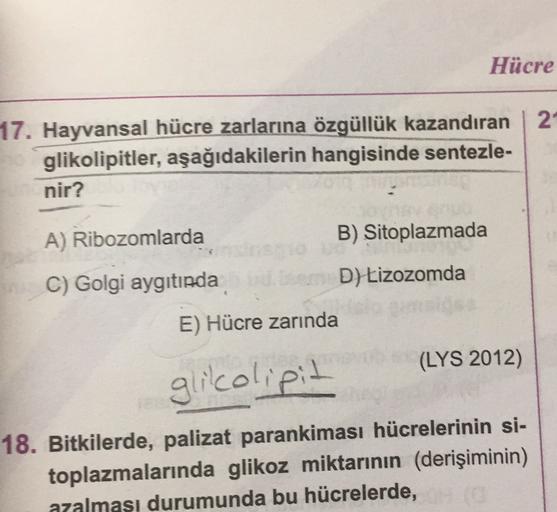 Hücre
2
17. Hayvansal hücre zarlarına özgüllük kazandıran
glikolipitler, aşağıdakilerin hangisinde sentezle-
nir?
A) Ribozomlarda
B) Sitoplazmada
C) Golgi aygıtında
D) Lizozomda
E) Hücre zarında
(LYS 2012)
glikolipit
18. Bitkilerde, palizat parankiması hüc