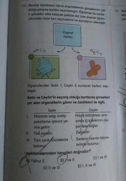 18. Biyoloji ogretmeni hücre organellerinin görsellerinin yer
aldığı çalışma kartları hazırlamıştır. Öğretmen bu kartla-
n görseller altta kalacak şekilde üst üste dizerek öğren-
cilerinden birer kart seçmelerini ve açmalarını istemiştir.
16. Aşa
ala:
sar
Organel
Kartları
golun
aughn
Öğrencilerden Selin 1, Ceylin 5 numaralı kartları seç-
miştir.
Selin ve Ceylin'in seçmiş olduğu kartlarda görselleri
yer alan organellerin görev ve özellikleri ile ilgili,
17
Selin
Ceylin
L Hücrede salgı üretip
Hücre bölünmesi sıra-
paketleme işlevini ye- sinda iğ ipliklerinin olu-
rine getirir.
şumunu sağlar.
IL Tek zarlıdır.
Zarsızdır
.
III. Tüm canlı
hücrelerde Sadece hayvan hücre-
bulunur.
lerinde bulunur.
açıklamalarından hangileri doğrudur?
A) Yalnız II
B) ve II
D) II ve III
C) I ve III
E) 1, Il ve III