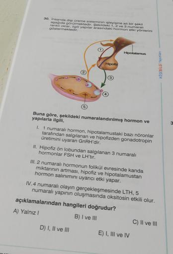 30. insanda dişi üreme sisteminin işleyişine ait bir şekil
aşağıda görülmektedir. Şekildeki 1, 2 ve 3 numaralı
renkli oklar, ilgili yapılar arasındaki hormon etki yönlerini
göstermektedir.
Hipotalamus
Hipofiz
KÖŞEBILGI Yayınlari
6-
3
Buna göre, şekildeki n