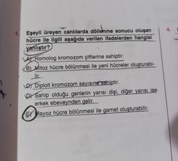 4.
1. Eşeyli üreyen canlılarda döllenme sonucu oluşan
hücre ile ilgili aşağıda verilen ifadelerden hangisi
yanlıştır?
A Homolog kromozom çiftlerine sahiptir.
B) Mitoz hücre bölünmesi ile yeni hücreler oluşturabi-
lir.
La Diploit kromozom sayısına sahiptir.
DJ Sahip olduğu genlerin yarısı dişi, diğer yarısı ise
erkek ebeveynden gelir...
EX Mayoz hücre bölünmesi ile gamet oluşturabilir.