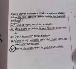 4.
1. Eşeyli üreyen canlılarda döllenme sonucu oluşan
hücre ile ilgili aşağıda verilen ifadelerden hangisi
yanlıştır?
A Homolog kromozom çiftlerine sahiptir.
B) Mitoz hücre bölünmesi ile yeni hücreler oluşturabi-
lir.
La Diploit kromozom sayısına sahiptir.
DJ Sahip olduğu genlerin yarısı dişi, diğer yarısı ise
erkek ebeveynden gelir...
EX Mayoz hücre bölünmesi ile gamet oluşturabilir.
