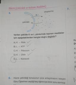 Hücre (Çekirdek ve Kalıtım Maddesi)
• 7.
sitoplazma
5.
K-
-
çekirdek
os
>>
Verilen şekilde K ve L yönlerinde taşınan maddeler
için aşağıdakilerden hangisi doğru değildir?
50
A) K = RNA
Ka
ği
B) L → ATP
A.
CK Ribozom
B
DK - DNA
C
CE
EL → Nükleotit
D
6.
Hücre çekirdeği konusunun iyice anlaşılmasını isteyen
Ebru Öğretmen seçtiği beş öğrenciye birer soru sormuş-
P