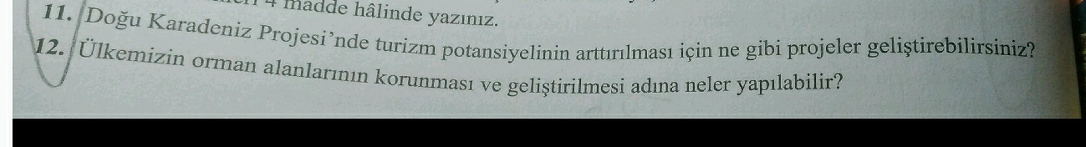 dde hâlinde yazınız.
11. Doğu Karadeniz Projesi'nde turizm potansiyelinin arttırılması için ne gibi projeler geliştirebilirsiniz?
12. Ülkemizin orman alanlarının korunması ve geliştirilmesi adına neler yapılabilir?