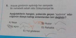 6. Artarak gönlümün aydinliği her saniyede
Bir mehabetli sabah oldu Süleymaniye'de
Aşağıdakilerin hangisi, yukarıda geçen "aydinlik" söz-
cüğünün dizeye kattığı anlamlardan biri değildir?
A) Neşe
CNç açıcı
B) Huzur
D) Rahatlik
E) Yol gösteren