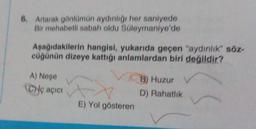 6. Artarak gönlümün aydinliği her saniyede
Bir mehabetli sabah oldu Süleymaniye'de
Aşağıdakilerin hangisi, yukarıda geçen "aydinlik" söz-
cüğünün dizeye kattığı anlamlardan biri değildir?
A) Neşe
CNç açıcı
B) Huzur
D) Rahatlik
E) Yol gösteren
