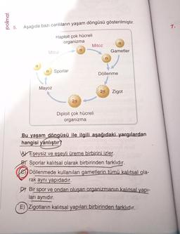 polimal
5.
Aşağıda bazı canlıların yaşam döngüsü gösterilmiştir.
7.
Haploit çok hücreli
organizma
n
Mitoz
Mitoz
Gametler
n
n Sporlar
Döllenme
Mayoz
2n
Zigot
2n
Diploit çok hücreli
organizma
Bu yaşam döngüsü ile ilgili aşağıdaki yargılardan
hangisi yanlıştır?
AV Eşeysiz ve eşeyli üreme birbirini izler.
BY Sporlar kalıtsal olarak birbirinden farklıdır.
Döllenmede kullanılan gametlerin tümü kalıtsal ola-
rak aynı yapıdadır.
Dy Bir spor ve ondan oluşan organizmanın kalıtsal yapı-
ları aynıdır.
E) Zigotların kalıtsal yapıları birbirinden farklıdır.