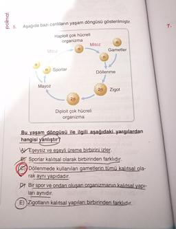 polimal
5.
Aşağıda bazı canlıların yaşam döngüsü gösterilmiştir.
7.
Haploit çok hücreli
organizma
n
Mitoz
Mitoz
Gametler
n
n Sporlar
Döllenme
Mayoz
2n
Zigot
2n
Diploit çok hücreli
organizma
Bu yaşam döngüsü ile ilgili aşağıdaki yargılardan
hangisi yanlıştır?
AV Eşeysiz ve eşeyli üreme birbirini izler.
BY Sporlar kalıtsal olarak birbirinden farklıdır.
Döllenmede kullanılan gametlerin tümü kalıtsal ola-
rak aynı yapıdadır.
Dy Bir spor ve ondan oluşan organizmanın kalıtsal yapı-
ları aynıdır.
E) Zigotların kalıtsal yapıları birbirinden farklıdır.
