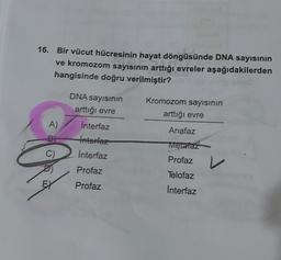 16. Bir vücut hücresinin hayat döngüsünde DNA sayısının
ve kromozom sayısının arttığı evreler aşağıdakilerden
hangisinde doğru verilmiştir?
DNA sayısının
arttığı evre
Interfaz
Interhez
Kromozom sayısının
arttığı evre
A)
Anafaz
B
Metafaz
C)
Interfaz
Profaz
Profaz
Telofaz
Profaz
Interfaz
