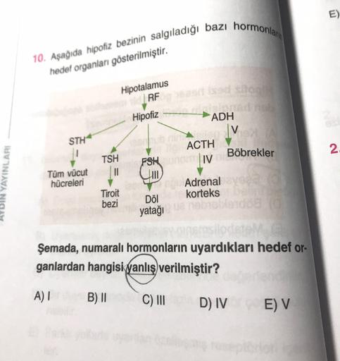 E)
10. Aşağıda hipofiz bezinin salgıladığı bazı hormonları
hedef organları gösterilmiştir.
Hipotalamus
RF
Hipofiz
STH
ADH
V
ACTH
Böbrekler
IV
N
TSH
11
ADIN YAYINLARI
Tüm vücut
hücreleri
FSH
CM
y
Döl
Tiroit
Adrenal
korteks
bezi
yatağı
Şemada, numaralı hormo