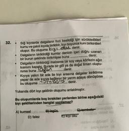 vece...
32.
Sığ kıyılarda dalgaların hızı kesildiği için sürükledikleri
kuru ve çakılı kıyıda biriktirir, kıyı boyunca kum birikintileri
oluşur. Bu oluşuma kıy...om denir.
Dalgaların biriktirdiği kumlar denizin içeri doğru uzanan
bir burun şeklinde birikmişse buna
denir.
Dalgaların biriktirdiği malzeme bir koy veya körfezin ağız
kısmını kapatır. Burada bir göl ya da doğal liman oluştu-
rursa buna.log...denir.
Kıyıya yakın bir ada ile kıyı arasına dalgalar biriktirme
yapar da ada kıyıya bağlanır bir yarım adaya dönüşürse
bu oluşuma-mbols.. denir.
Vio
Yukanda dört kıyı şeklinin oluşumu anlatılmıştır.
Bu oluşumlarda boş bırakılan yerlerden birine aşağıdaki
kiyi şekillerinden hangisi yazılamaz?
TC
BH lagun
A) kumsal
D) falez
C) tomooto-
E) kiyi oku
