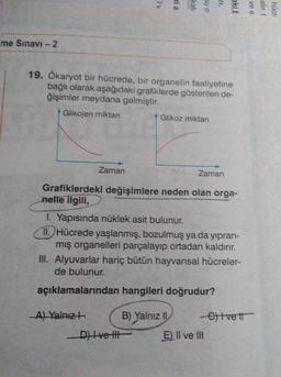 2
ria
one
kali
21
me Sınavi - 2
19. Ökaryot bir hücrede, bir organelin faaliyetine
bağlı olarak aşağıdaki grafiklerde gösterilen de-
ğişimler meydana gelmiştir.
Glikojen miktan
Glikoz miktan
Zaman
Zaman
Grafiklerdeki değişimlere neden olan orga-
nelle ilgili,
1. Yapısında nüklek asit bulunur.
11. Hücrede yaşlanmış, bozulmuş ya da yıpran-
mış organelleri parçalayıp ortadan kaldırır.
III. Alyuvarlar hariç bütün hayvansal hücreler-
de bulunur.
açıklamalarından hangileri doğrudur?
A) Yalnızł
B) Yalnız II Ctvett
Di Ive It E) II ve III