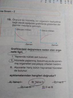 2
ria
one
kali
21
me Sınavi - 2
19. Ökaryot bir hücrede, bir organelin faaliyetine
bağlı olarak aşağıdaki grafiklerde gösterilen de-
ğişimler meydana gelmiştir.
Glikojen miktan
Glikoz miktan
Zaman
Zaman
Grafiklerdeki değişimlere neden olan orga-
nelle ilgili,
1. Yapısında nüklek asit bulunur.
11. Hücrede yaşlanmış, bozulmuş ya da yıpran-
mış organelleri parçalayıp ortadan kaldırır.
III. Alyuvarlar hariç bütün hayvansal hücreler-
de bulunur.
açıklamalarından hangileri doğrudur?
A) Yalnızł
B) Yalnız II Ctvett
Di Ive It E) II ve III
