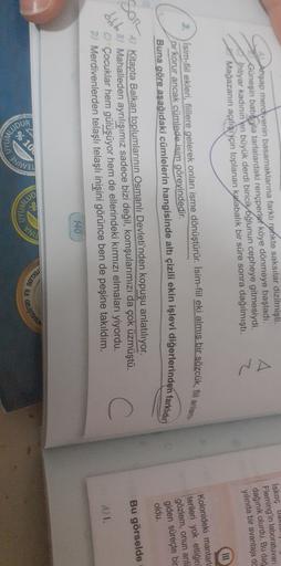 Ahşap merdivenin basamaklarına farklı renkte saksılar dizilmişti.
Güneşin batıyla tarlalardaki rençperiet köye dönmeye başladı.
Jhtiyar kadının
en büyük derdi biricik oğlunun cepheye gitmesiydi.
Mağazanın açılistyçin toplanan kalabalık bir süre sonra dağıl