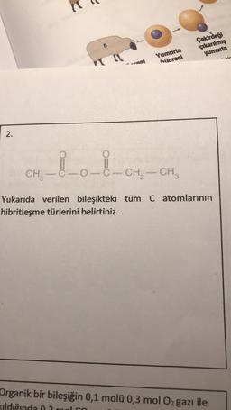 B
Çekirdeği
çıkarılmış
yumurta
Yumurta
hücresi
vasi
2.
10-8-CH
CH
C
CH2 - CH ,
Yukarıda verilen bileşikteki tüm C atomlarının
hibritleşme türlerini belirtiniz.
Organik bir bileşiğin 0,1 molü 0,3 mol Oz gazı ile
Kildığında 02