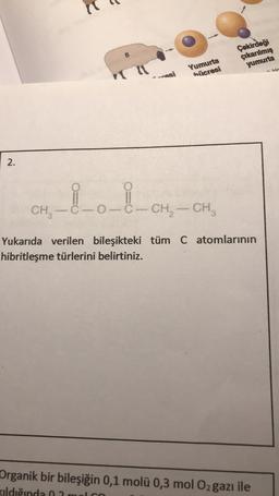 B
Çekirdeği
çıkarılmış
yumurta
Yumurta
hücresi
vasi
2.
10-8-CH
CH
C
CH2 - CH ,
Yukarıda verilen bileşikteki tüm C atomlarının
hibritleşme türlerini belirtiniz.
Organik bir bileşiğin 0,1 molü 0,3 mol Oz gazı ile
Kildığında 02
